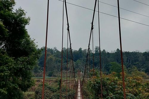 Lào Cai: Đi câu cá bị điện giật vì vi phạm an toàn lưới điện