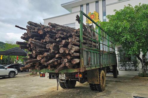 Quảng Nam: Chưa thống nhất hướng xử lý trong vụ xã Tiên Lãnh bắt giữ xe keo