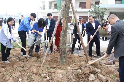Trường học hưởng ứng Tết trồng cây xuân Giáp Thìn 2024