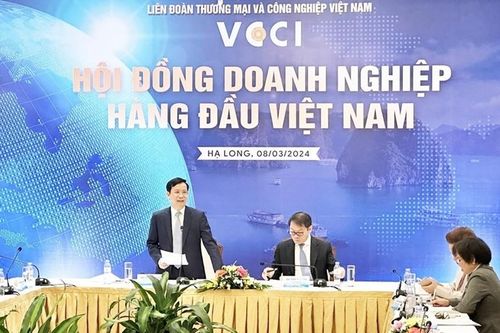 8 nhiệm vụ quan trọng của Hội đồng Doanh nghiệp hàng đầu Việt Nam