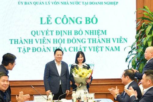 Vụ phó làm Thành viên HĐTV, Vinachem năm nay nhiều thay đổi về nhân sự