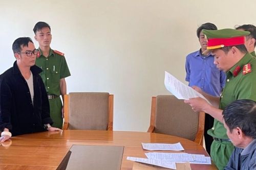 Vướng lao lý vì thuê người chặt phá cây atiso trên đất tranh chấp