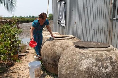 Khoảng 12.000 hộ dân Cà Mau thiếu nước ngọt, phải mua hơn 40.000 đồng/m3