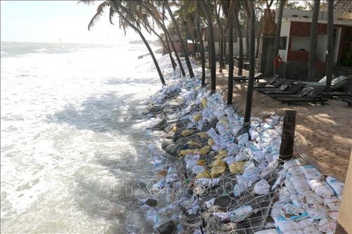 Kiến nghị xử lý trách nhiệm để ra sai sót trong xây dựng kè chống sạt lở bờ biển tại Bình Thuận