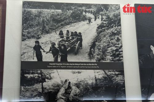 Sáng vai trò người phụ nữ trong Chiến dịch Điện Biên Phủ