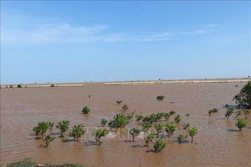 ADB tiếp tục hỗ trợ Việt Nam ứng phó với biến đổi khí hậu