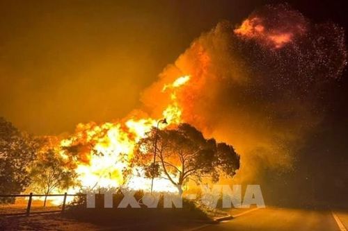 Mỹ: Công ty Xcel Energy (Mỹ) liên quan đến đám cháy rừng lớn nhất tại bang Texas