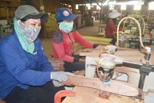Gia Lai: Công nghiệp chế biến dự kiến góp khoảng 1.121 tỷ đồng giá trị tăng thêm