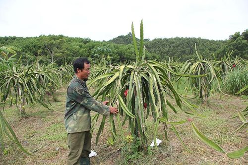 Nhân rộng mô hình 'chi bộ 4 tốt'