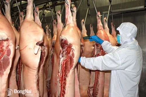 Giết mổ động vật tập trung để đảm bảo chuỗi an toàn thực phẩm