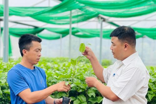 Đề xuất nhiệm vụ khoa học và công nghệ tỉnh Gia Lai năm 2025