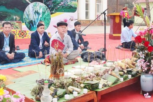 Hoa ban trong đời sống và văn hóa dân tộc Thái