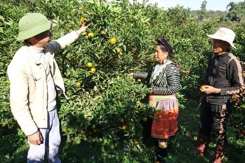 Vai trò tổ chức đảng và đảng viên trong giảm nghèo