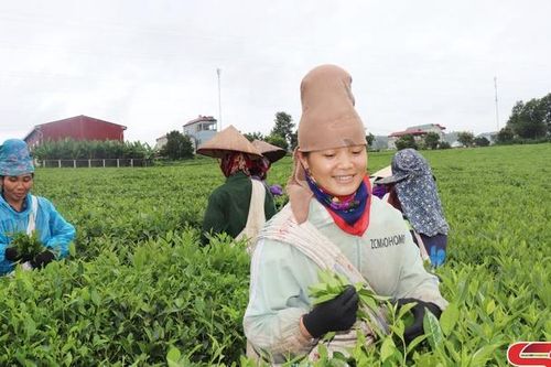 Chất lượng, hiệu quả từ các phong trào thi đua
