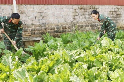 Thực hiện tốt công tác hậu cần quân đội
