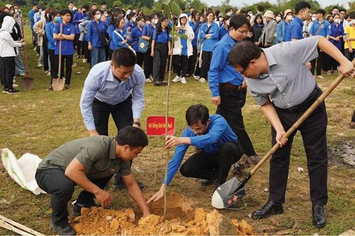 Hướng đến mục tiêu trồng 1 tỷ cây xanh
