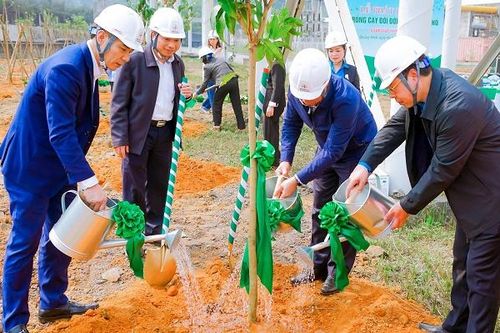 Công ty Cổ phần Nhiệt điện Quảng Ninh hưởng ứng 'Tết trồng cây' Xuân Giáp Thìn năm 2024
