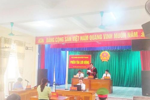 Tuyên phạt người mẹ giao xe cho con chưa đủ tuổi điều khiển gây tai nạn
