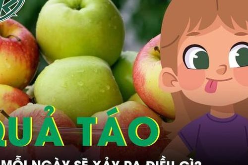 Ăn táo mỗi ngày điều gì sẽ xảy ra với cơ thể?