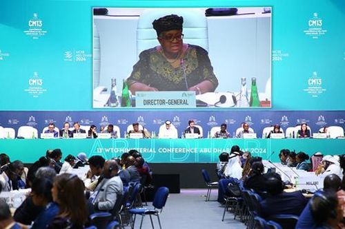 WTO phải bảo vệ vai trò đa phương của mình