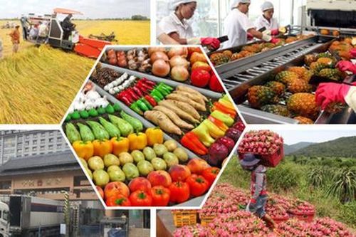 Phát triển logistics: bệ phóng để xuất khẩu nông, lâm, thủy sản bền vững