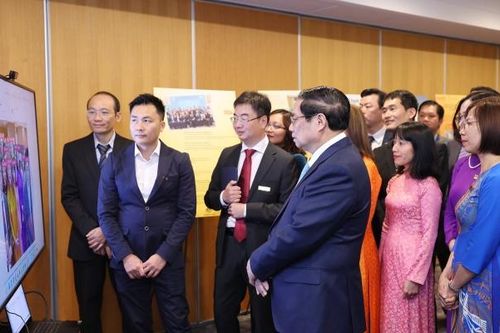 Thúc đẩy kết nối với phía Australia để đào tạo sớm, đào tạo nhanh đội ngũ kỹ sư chíp bán dẫn