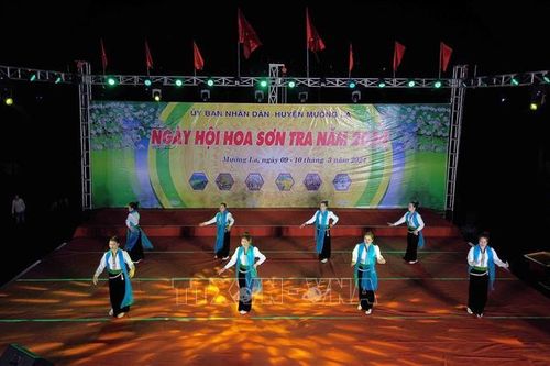 Khai mạc Ngày hội hoa Sơn tra năm 2024