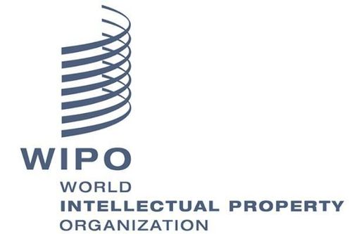 WIPO: Lần đầu tiên số đơn xin cấp bằng sáng chế trên thế giới giảm