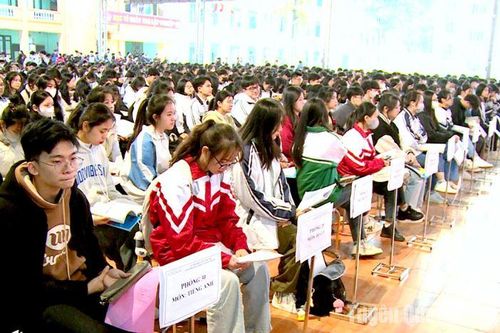 367 thí sinh đoạt giải Kỳ thi chọn học sinh giỏi cấp tỉnh lớp 12
