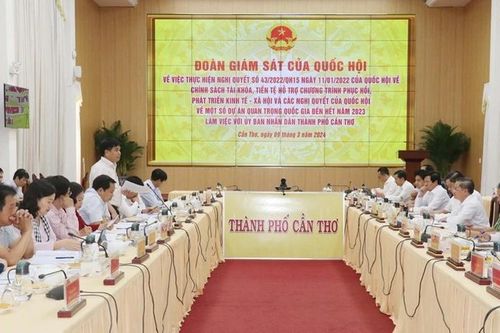 Đoàn giám sát Quốc hội làm việc ở Cần Thơ về một số dự án quan trọng quốc gia