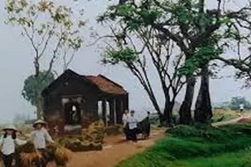 Chuyện nhà lão Dần làng Vũ Đại