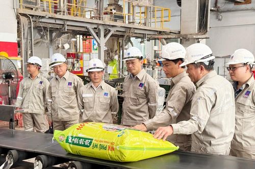 NPK Phú Mỹ góp phần cho một mùa mía ngọt bội thu