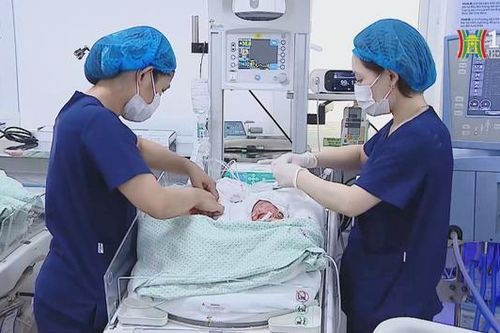 Những người mẹ thứ hai đặc biệt của trẻ sinh non