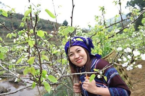 Du khách sở hữu cây tại 'thủ phủ' lê Tai nung, Nậm Pung