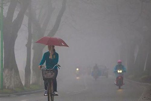 Bí quyết lái xe an toàn trong thời tiết sương mù