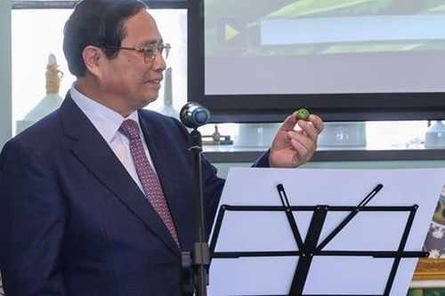Thủ tướng kỳ vọng đột phá hợp tác kinh tế nông nghiệp với New Zealand