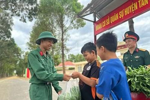 'Rau sạch quân sự - lấy theo nhu cầu, xin đừng lãng phí'