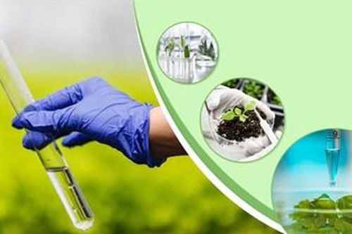 Quy hoạch tổng thể quan trắc môi trường quốc gia đồng bộ, hiện đại