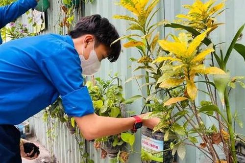 Đoàn viên, sinh viên TP. HCM hăng hái hưởng ứng Ngày cao điểm tình nguyện xây dựng đô thị văn minh