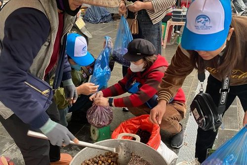 Dẻo thơm hạt dẻ 'xứ hoa hồi'