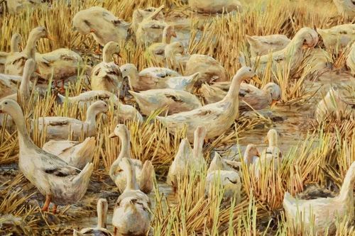 Đi tìm nhiệt huyết cùng sắc màu