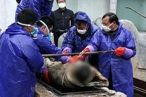 Mở mộ cổ 700 năm, sững người thi hài mỹ nhân còn nguyên vẹn