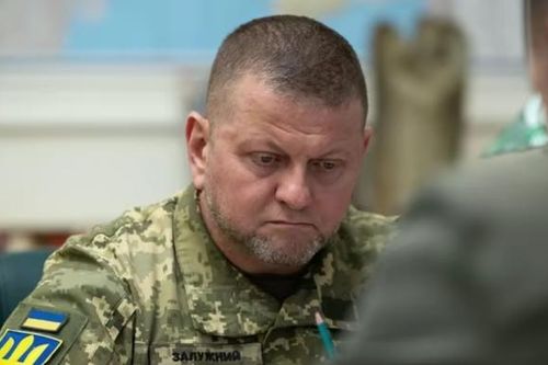Lý do cựu tổng tư lệnh lực lượng vũ trang Ukraine bị bãi nhiệm
