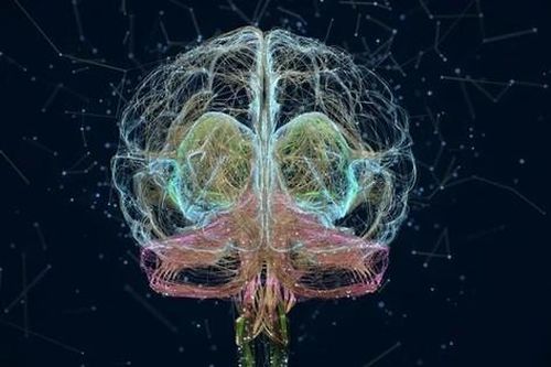 Cảnh báo 'máy tính- não người' của tỷ phú Elon Musk dễ bị tấn công và thao túng bởi bên thứ ba