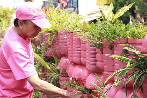 Ông lão ở TP.HCM 'nhuộm hồng' căn nhà, làm điều được cả phố ủng hộ