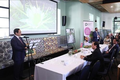 Thủ tướng Phạm Minh Chính kỳ vọng đột phá hợp tác kinh tế nông nghiệp với New Zealand