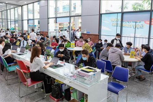 Tuyển sinh Đại học 2024: Tìm hiểu kỹ thông tin, chọn nguyện vọng phù hợp