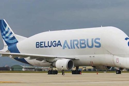 'Cá voi bay' khổng lồ của Airbus