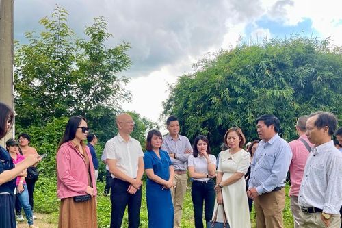 Gia Lai: Thúc đẩy phát triển dịch vụ logistics năm 2024