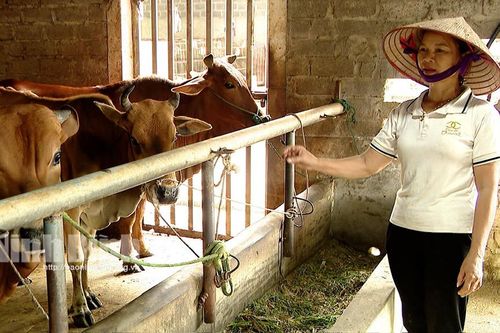 'Chìa khóa' để giảm nghèo bền vững vùng đồng bào dân tộc thiểu số